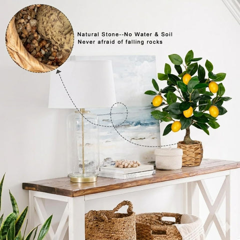 Oairse lemon tree in woven pot brings rustic elegance.