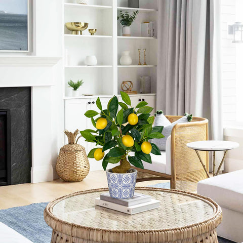 Oairse maintenance-free decoration adds evergreen charm.