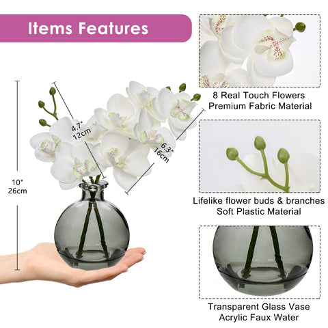 Oairse Phalaenopsis real-touch orchids add lasting elegance to space.