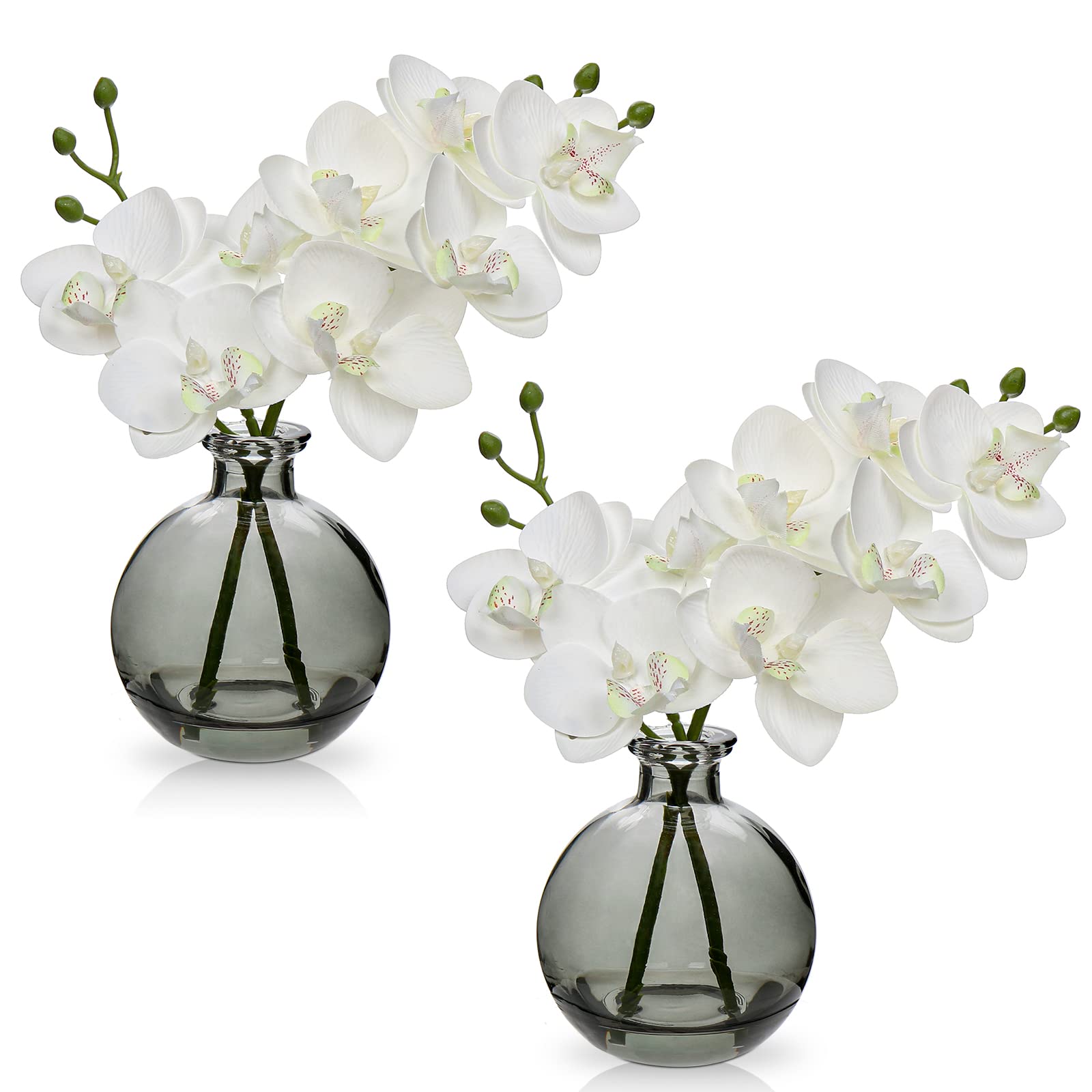 Oairse white orchids in black glass vase, ideal dining table centerpiece.