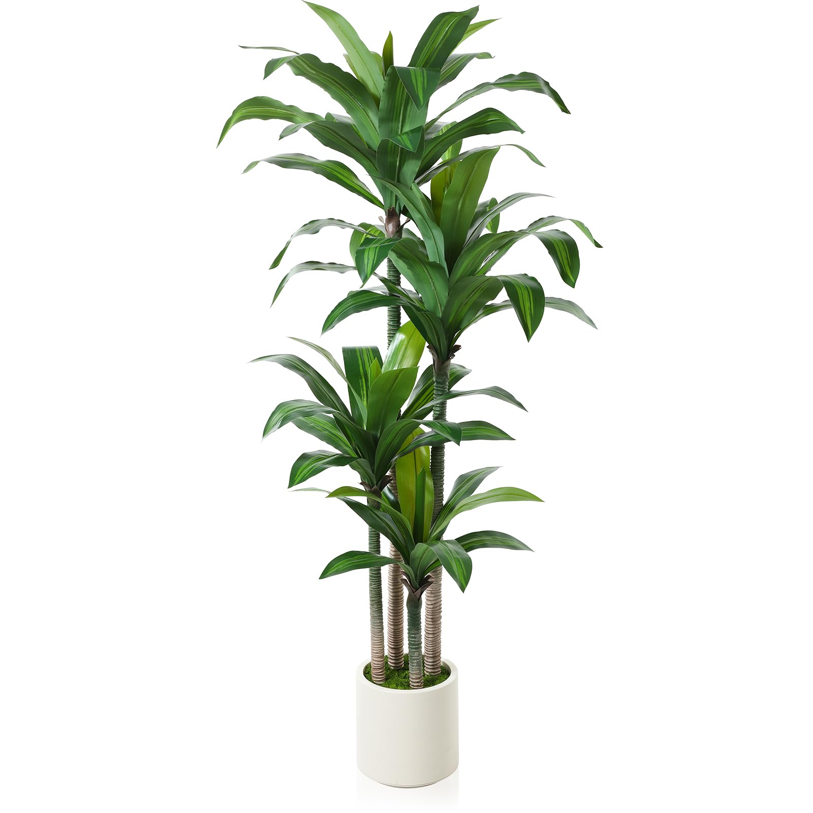 Oakred artificial dracaena tree 6ft with white planter adds year-round greenery.