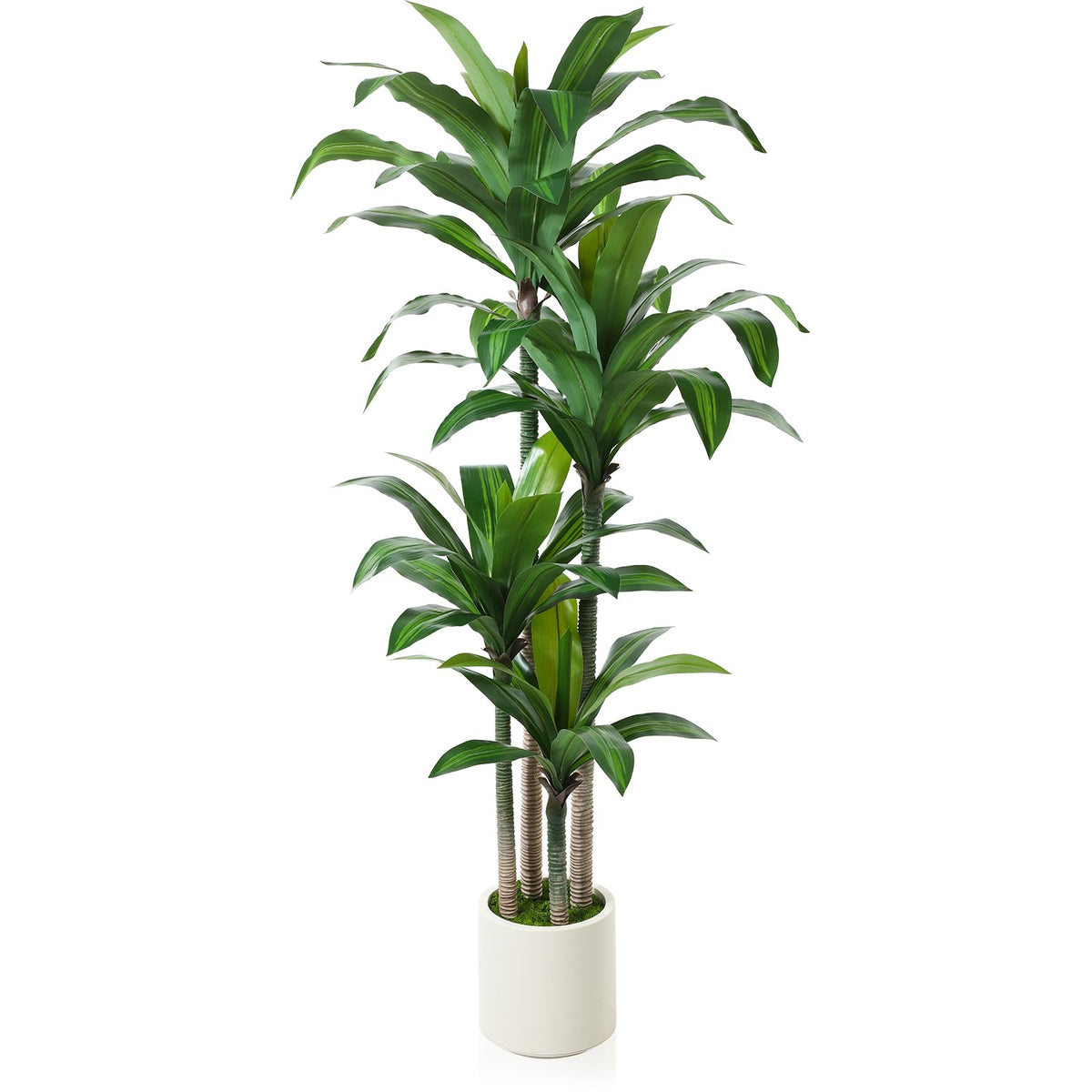 Oakred artificial dracaena tree 6ft with white planter adds year-round greenery.