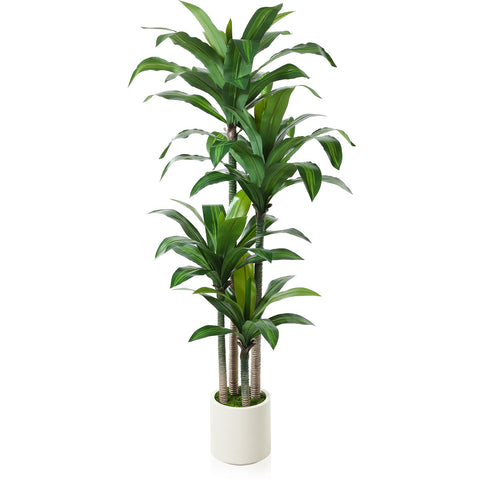 Oakred artificial dracaena tree 6ft with white planter adds year-round greenery.