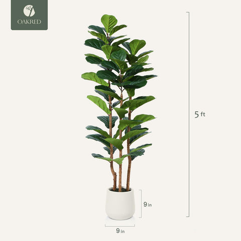 OAKRED cement planter base provides stable, safe placement.