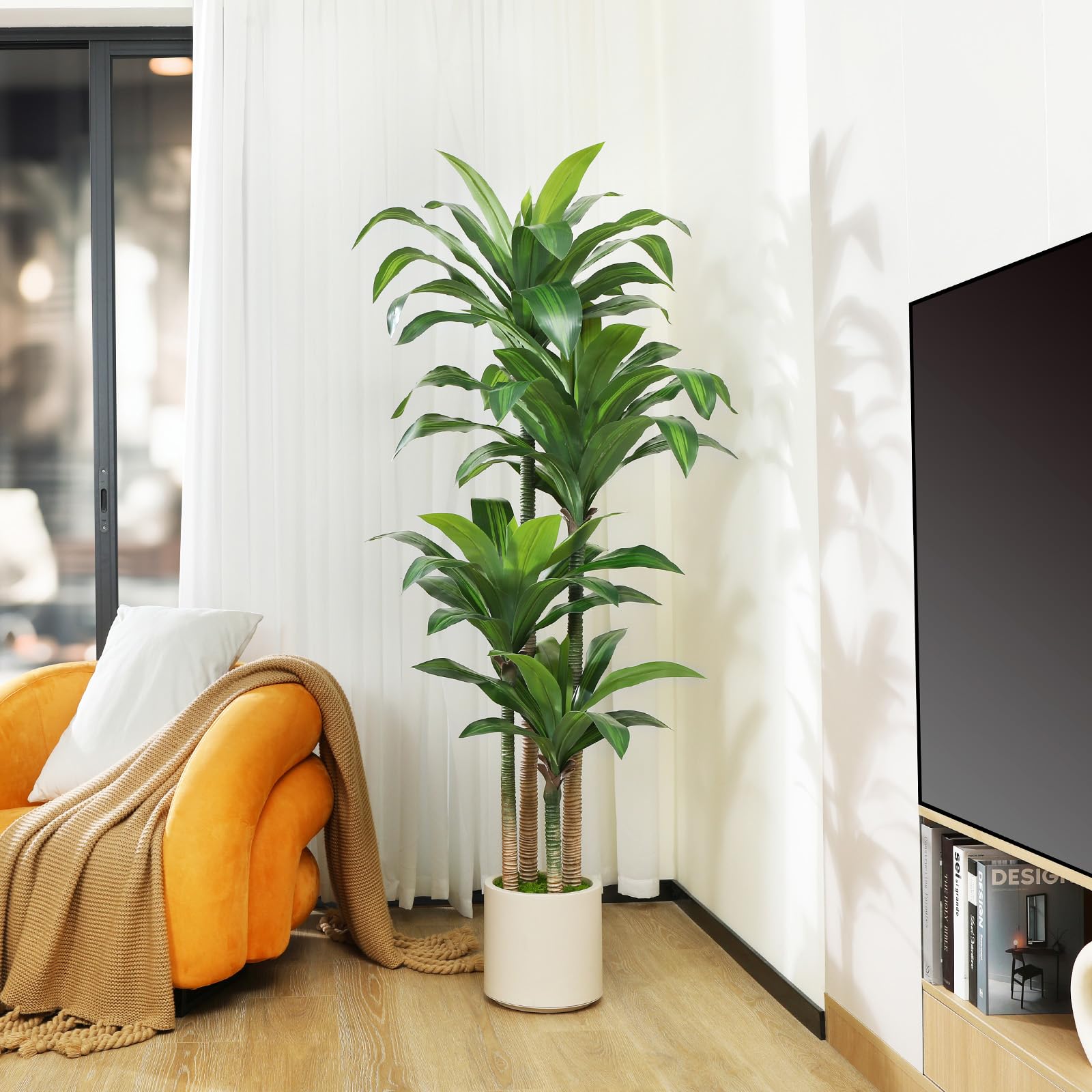 Oakred dracaena tree near entry provides welcoming decor.