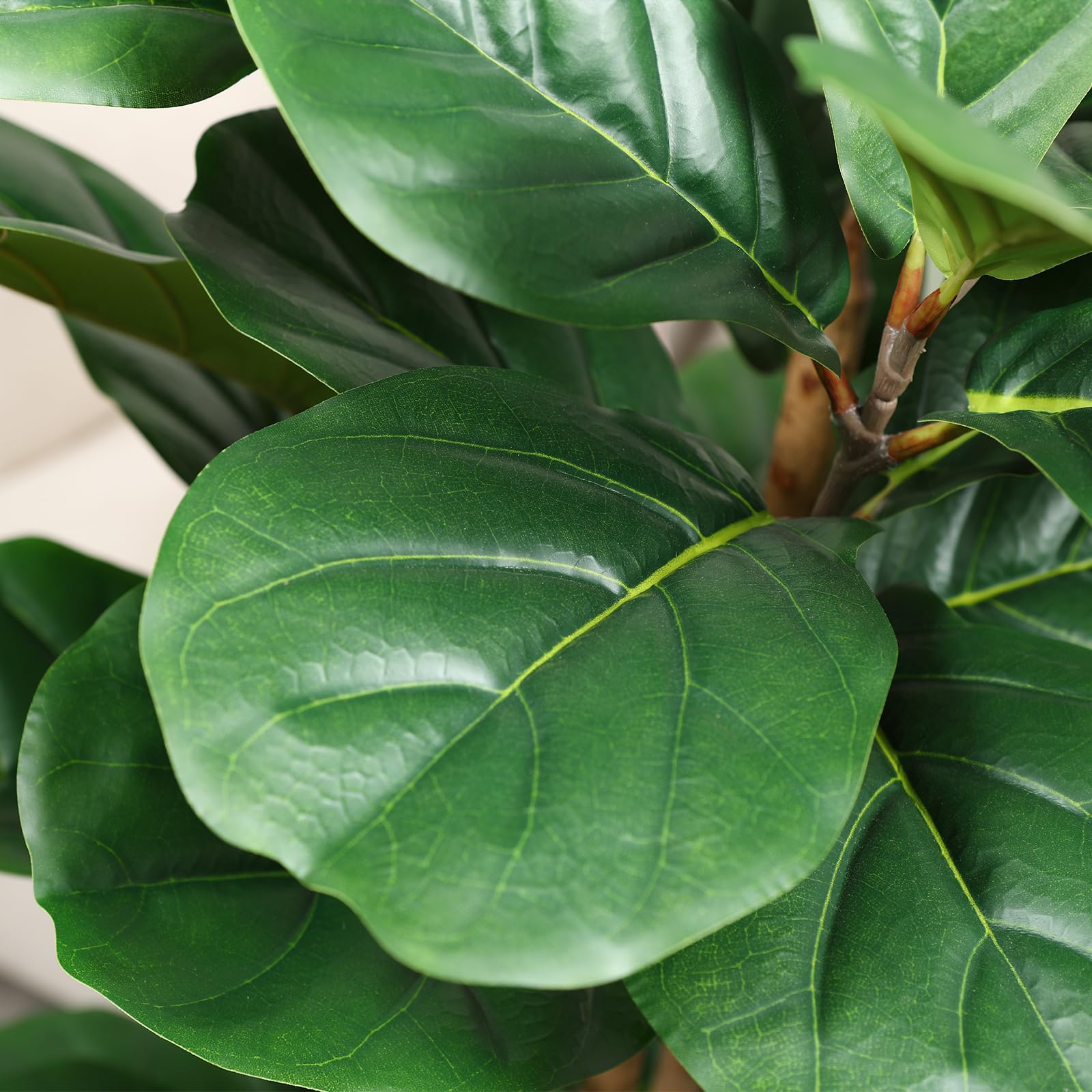 OAKRED indoor fiddle leaf fig leaves offer maintenance-free greenery.