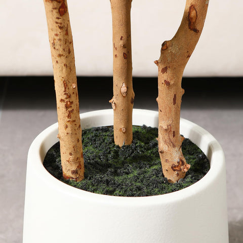 OAKRED indoor decor tree suits living rooms and office spaces.