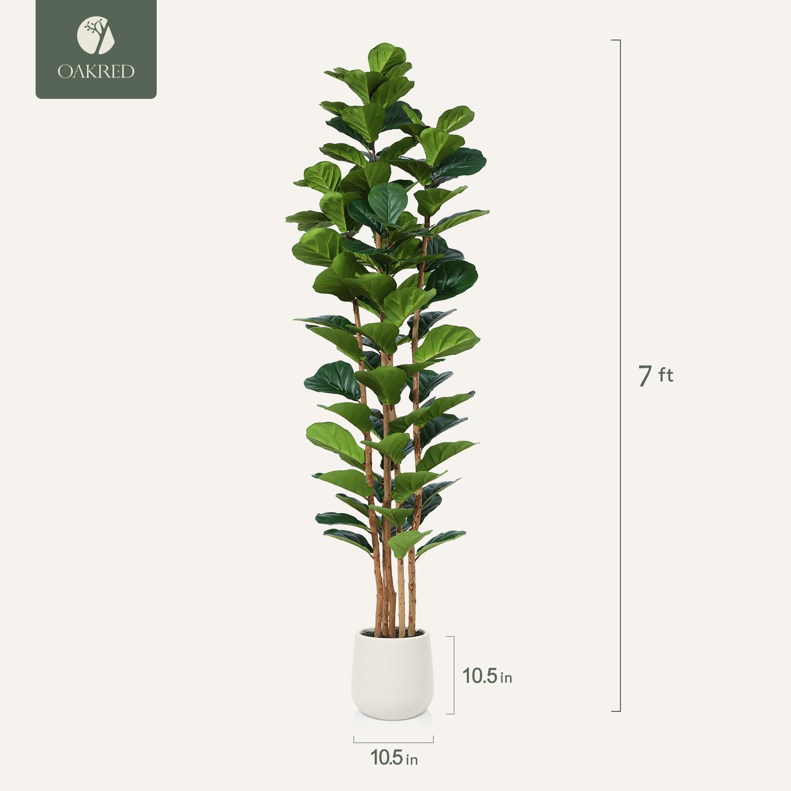 OAKRED cement planter base protects from knocks and adds stability.