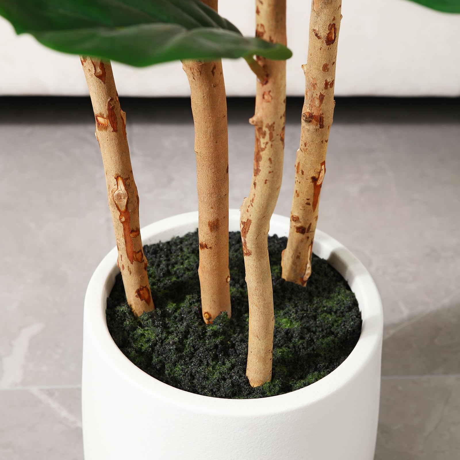OAKRED white planter with moss adds fullness and stability
