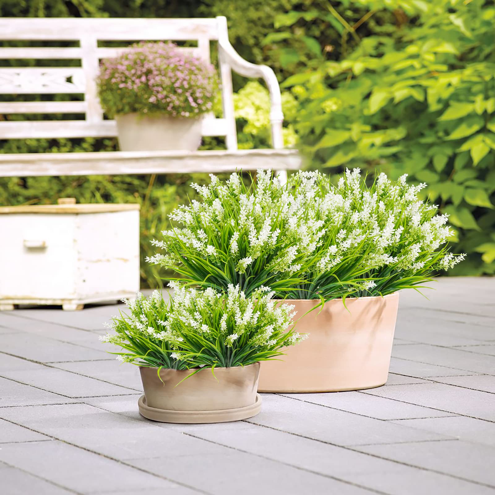 obbsie durable outdoor plants suitable for patios and entryways.
