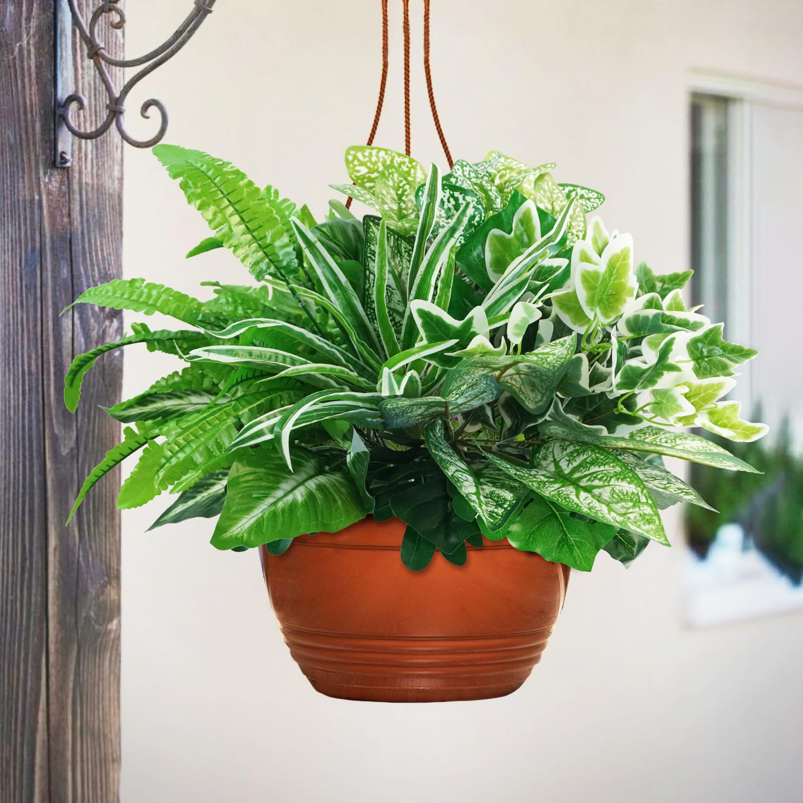 Obbsie garden and backyard decorative greenery.