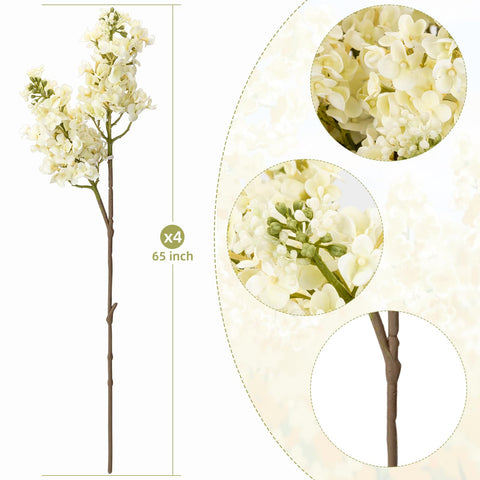 Close-up of textured white lilac petals by OBDXZHC.