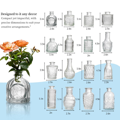 ODBCYWM transparent glass vases reflect light to enhance floral arrangements.
