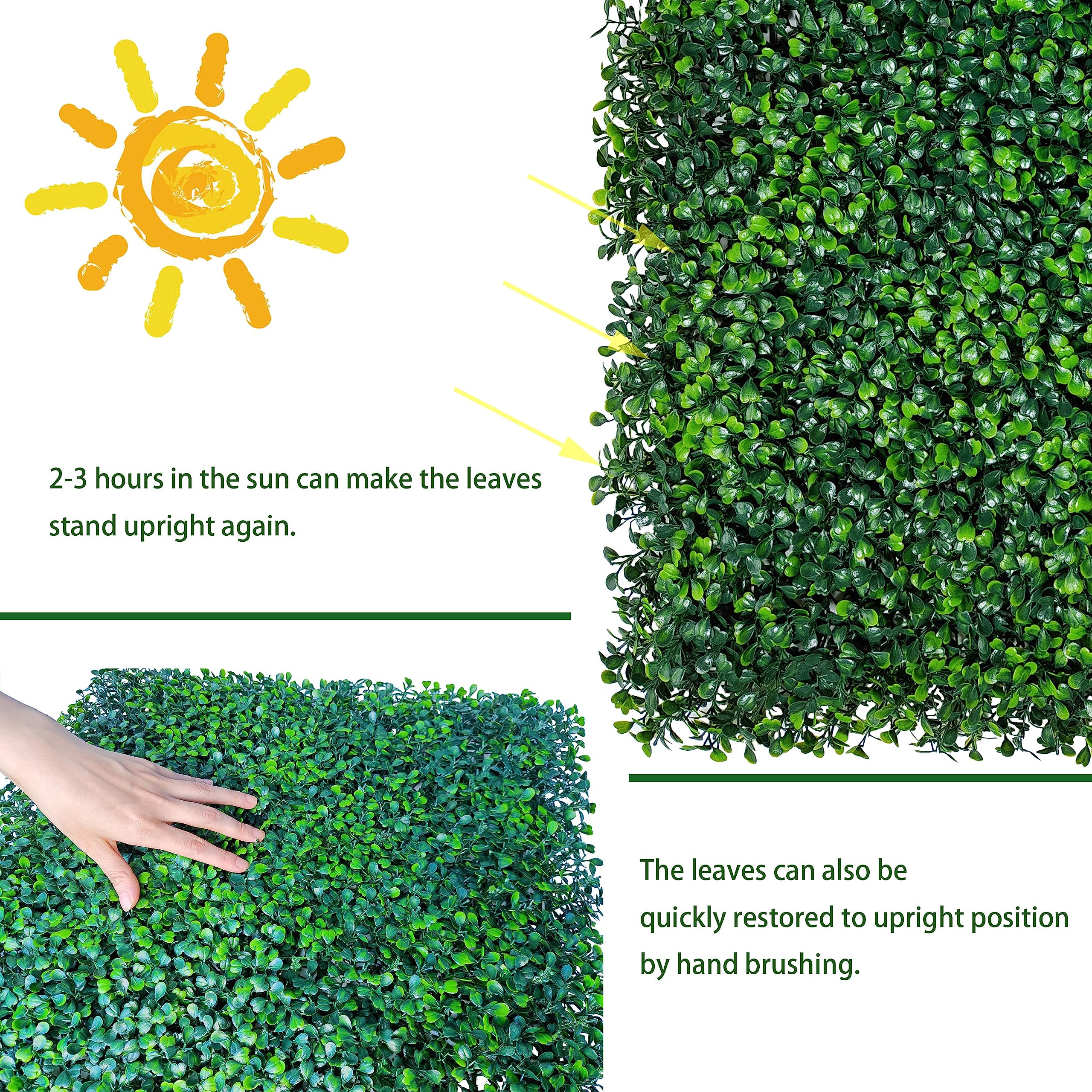 ODTORY boxwood panel indoor installation for a lush background