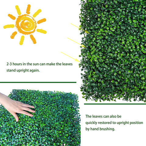 ODTORY boxwood panel indoor installation for a lush background