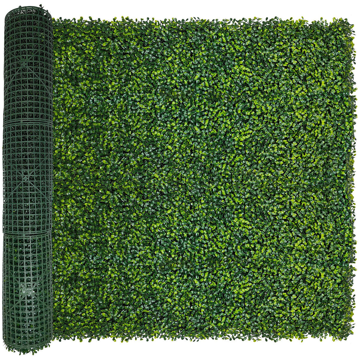 ODTORY Boxwood Roll Panel full view shows dense privacy greenery