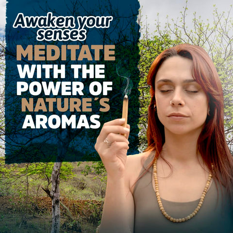 OLA BLUE Palo Santo bulk sticks in meditation space for focus