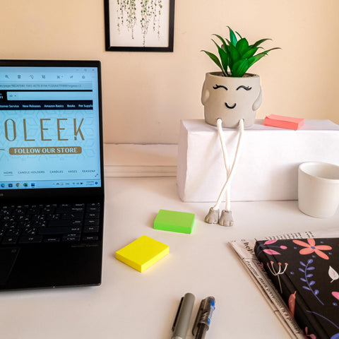 OLEEK artificial succulent on shelf delivers a fresh, tidy look