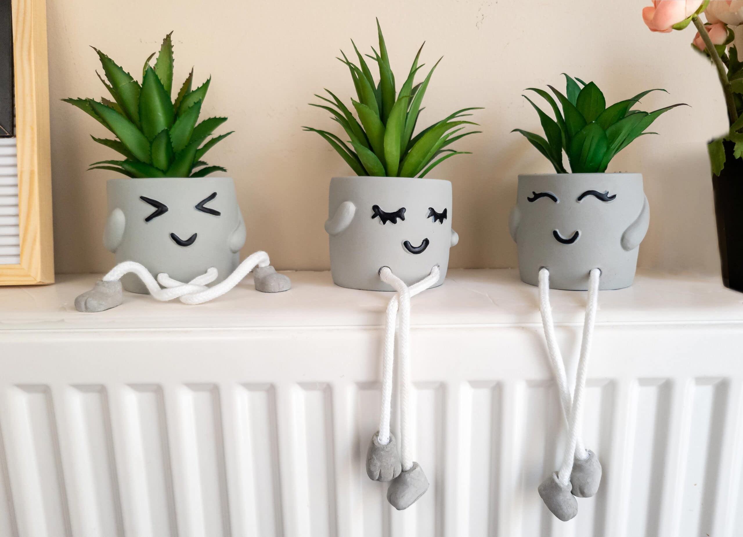 OLEEK office cubicle desk plant brings personality with low maintenance