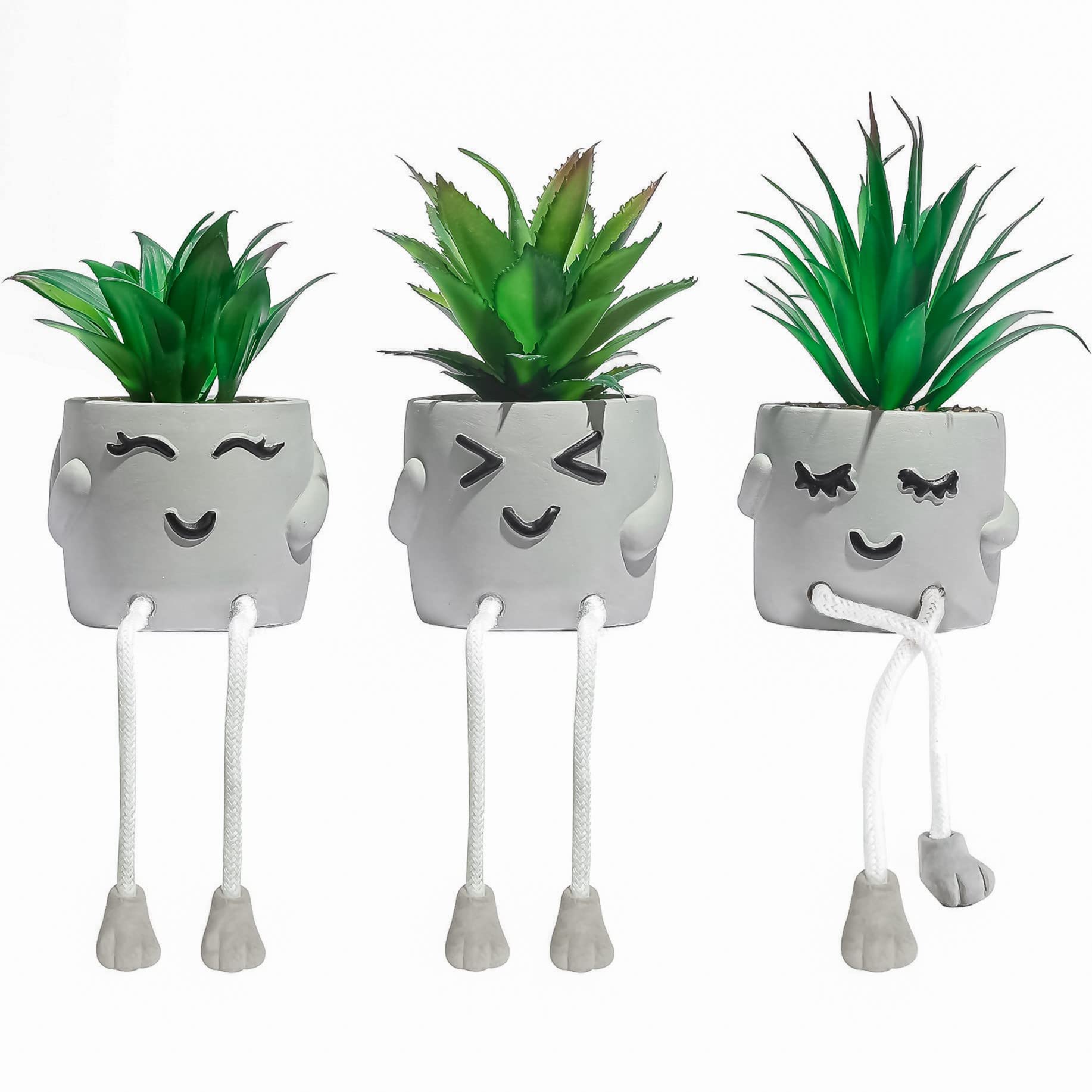 OLEEK small succulent desk decor on desk adds vibrant color