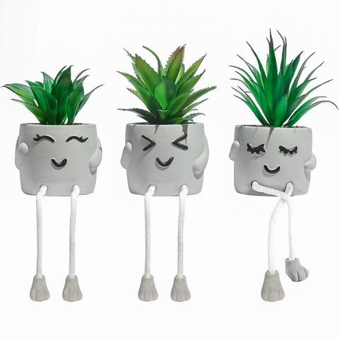 OLEEK small succulent desk decor on desk adds vibrant color