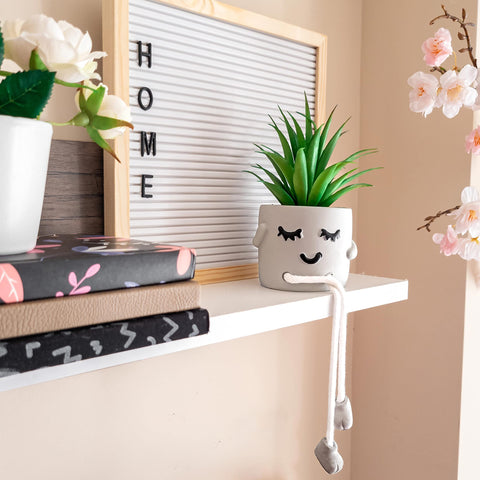 OLEEK women's office decor small plants invite friendly conversations