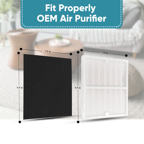 Omaeon Filter A Pack for Idylis IAP-10-100 reduces odors and improves air quality