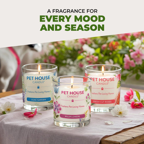 One Fur All Pet House Candle Fresh Citrus in a bedroom improves ambiance.