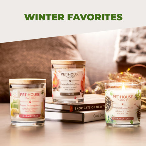One Fur All Pet House Candle inviting scent enhances cozy pet-friendly spaces.