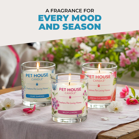 One Fur All interior candle ideal for living rooms and bedrooms