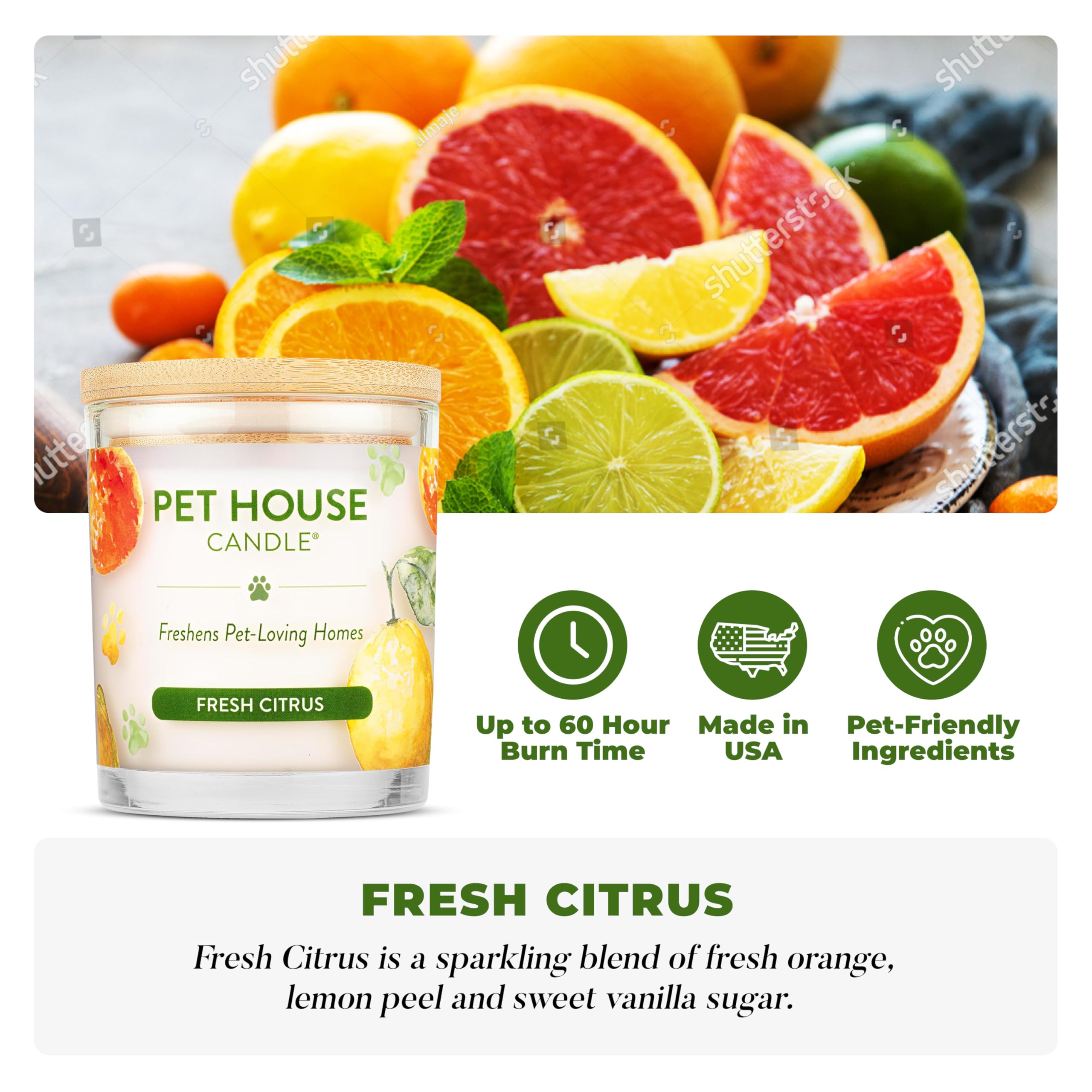 One Fur All Pet House Candle close-up shows plant-based soy wax and clean-burning wick.