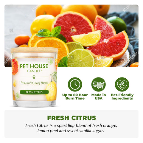 One Fur All Pet House Candle close-up shows plant-based soy wax and clean-burning wick.