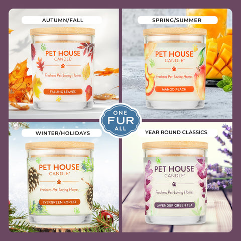 One Fur All candle with cotton wick emphasizes clean, dye-free burn.