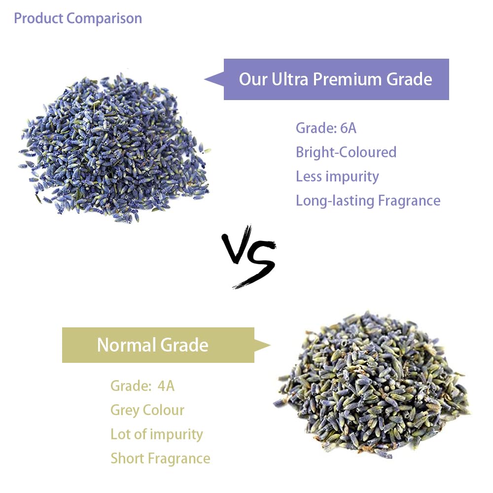 OneDove Lavender Buds close-up—vivid color and soothing aroma for crafts