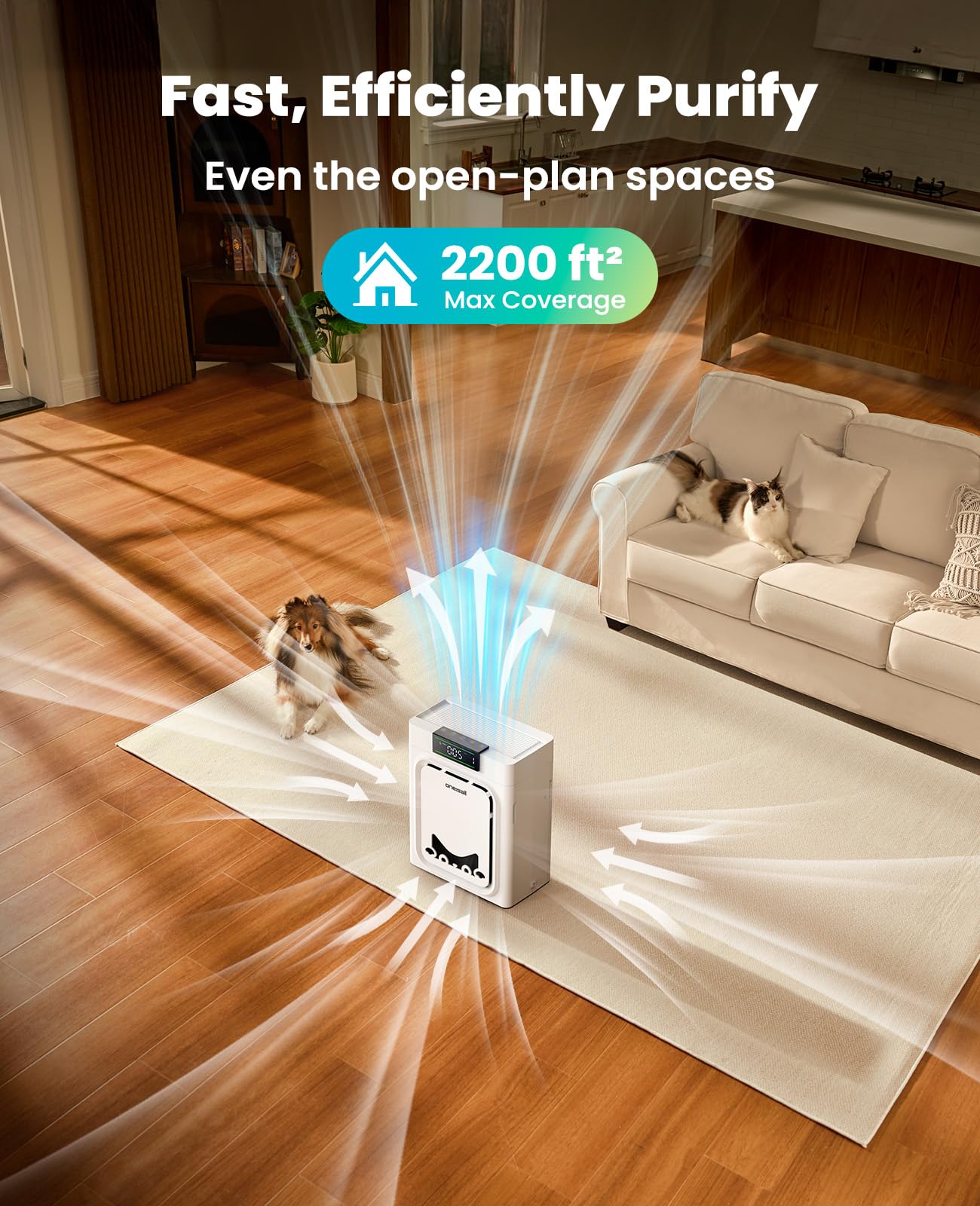 Oneisall air purifier with double-sided washable HEPA filters for efficient filtration