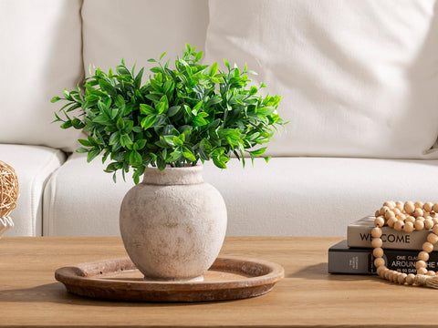OOIT pampas grass display in a clean, elegant vase.