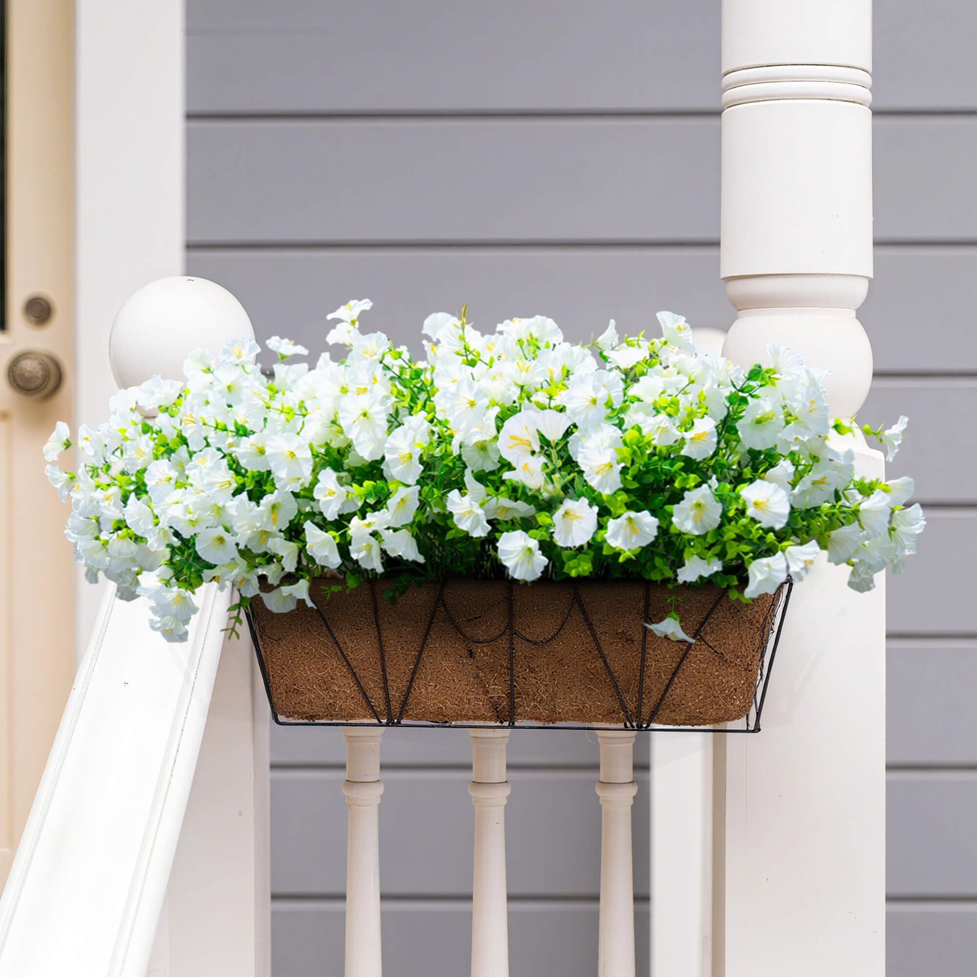 Orphidel no-maintenance decor ideal for travelers and busy homes.
