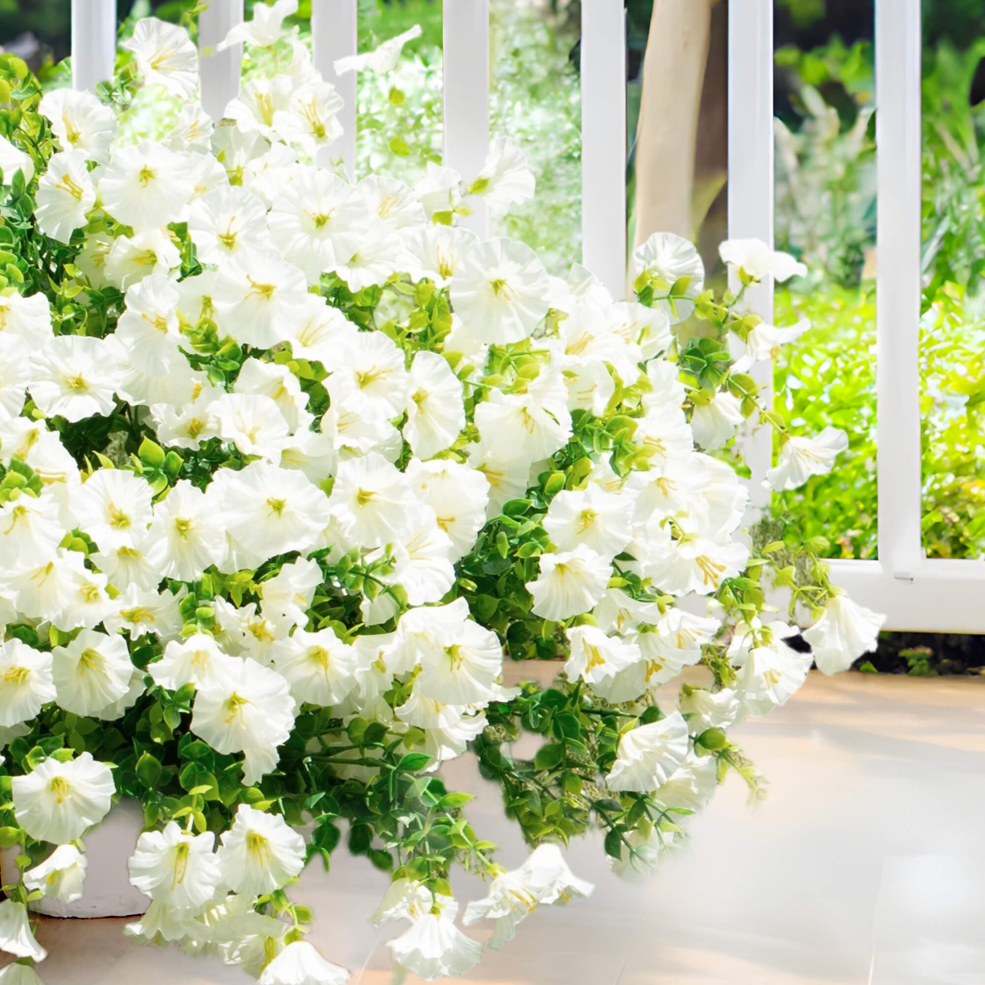Orphidel white flowers with green eucalyptus stems brighten porches.