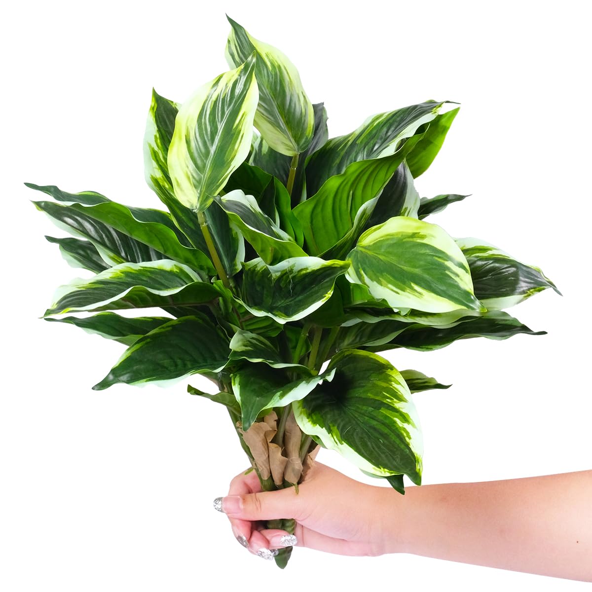 OTATOT outdoor-friendly decor to elevate balcony, porch, or garden displays.