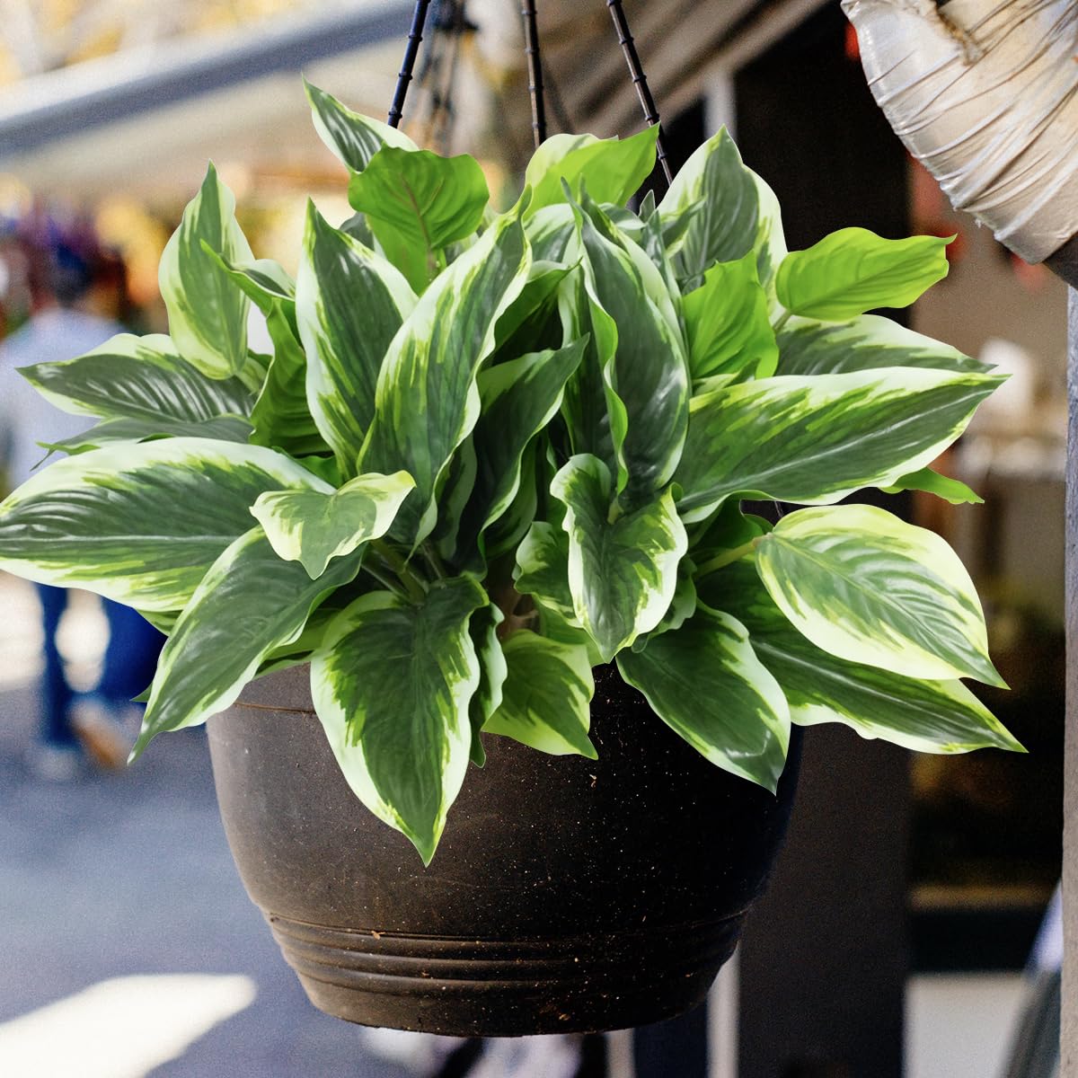 OTATOT UV-resistant outdoor plants endure sun for porch displays.
