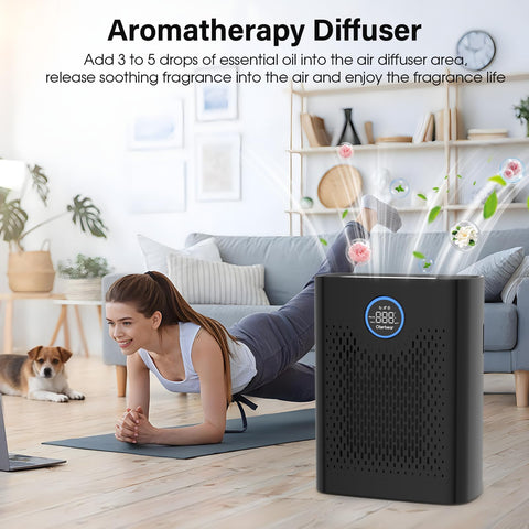 Oterbear 8000B aroma night light adds fragrance while purifying