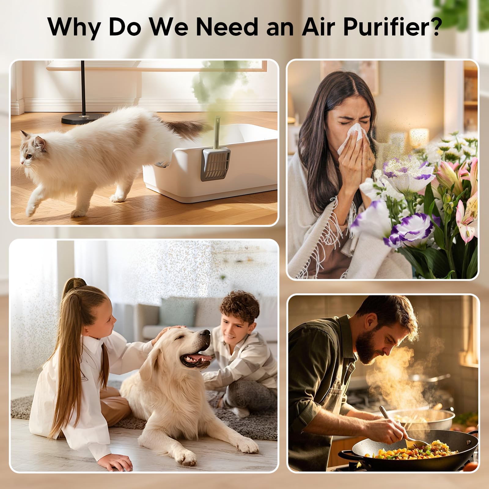 Oterbear air purifier activated carbon filter absorbs odors from pets and cooking.