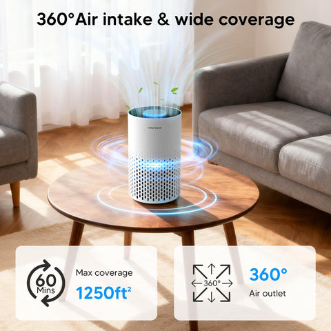 Oterbear air purifier back panel view shows easy filter access.