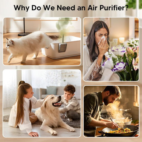Oterbear aroma diffuser area releasing soothing scents into the room.