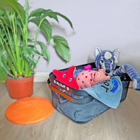 OtterPets dog toy basket out of box no assembly required for use.