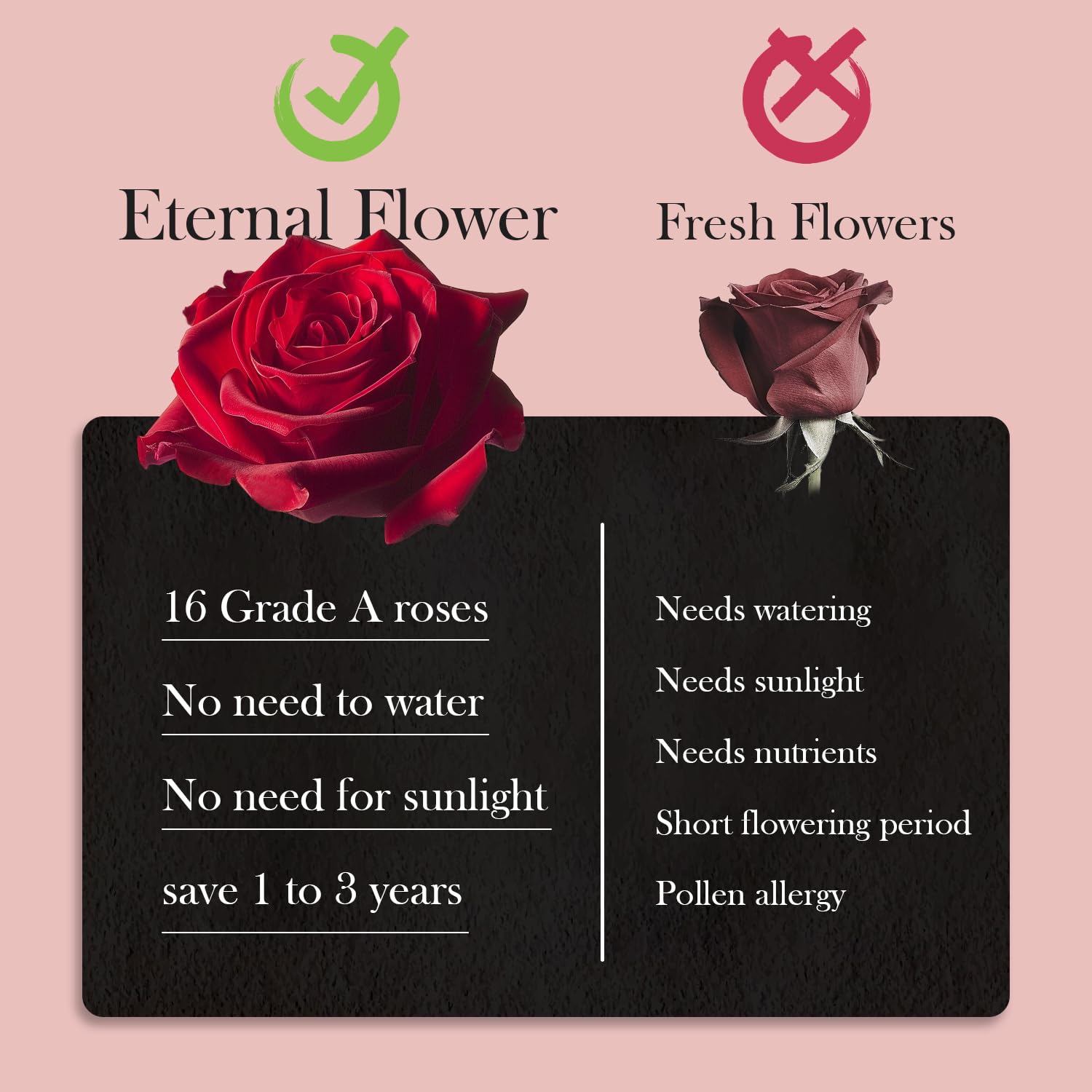Otuo long-lasting roses offer vibrant color for years.