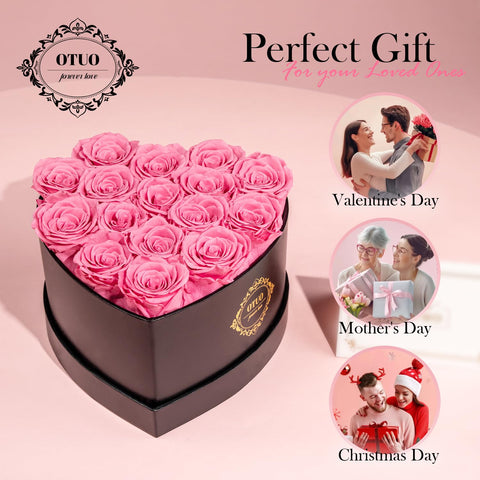 Otuo pink preserved roses on display add gentle decor touch.