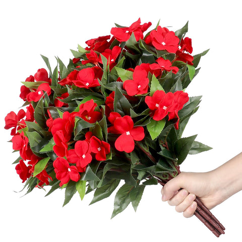 PABREY no maintenance outdoor impatiens for anytime color