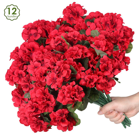 PABREY red geraniums add festive decor for events and gatherings.