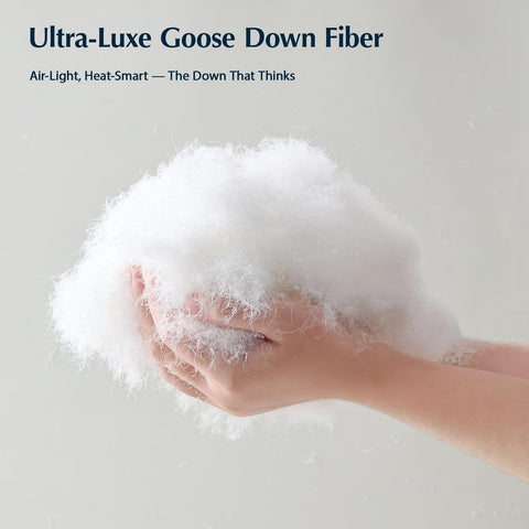 Pacific Coast goose down fiber comforter queen all-season warmth balance for year-round comfort